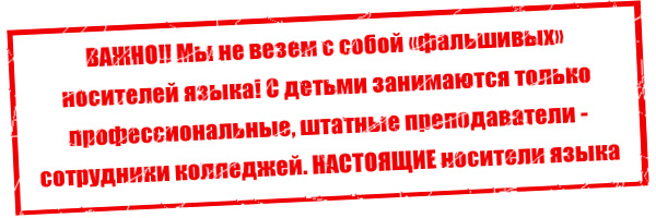 Новогодние Каникулы В Колледже Новогодние Каникулы В Колледже
